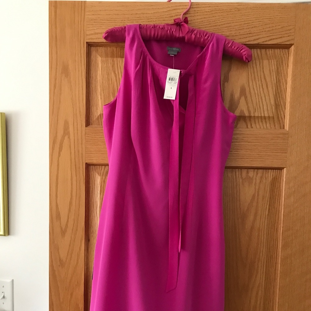 Ann Taylor silk dress new with tags
